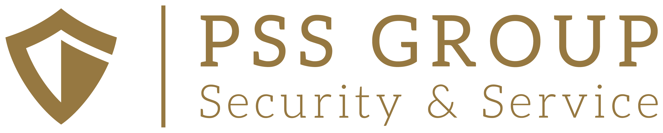 PSS Security Logo